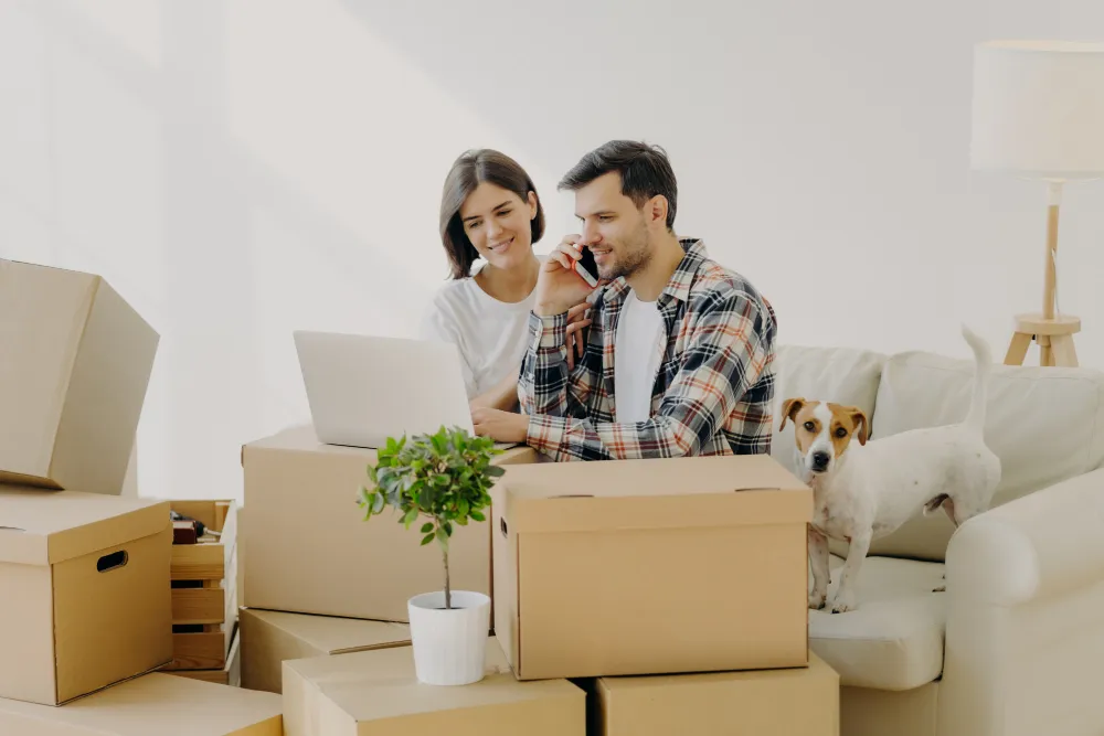 Professional Removals Brighton